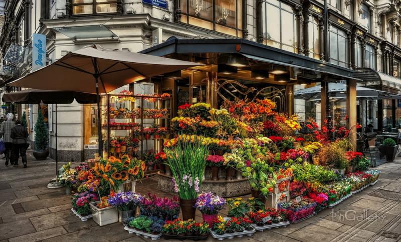 Flower Shop - DEMO Flower Shop - DEMO